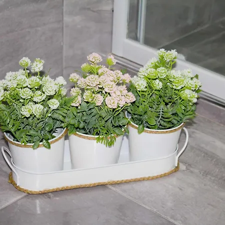 דירה Ermis Mini # 3 *